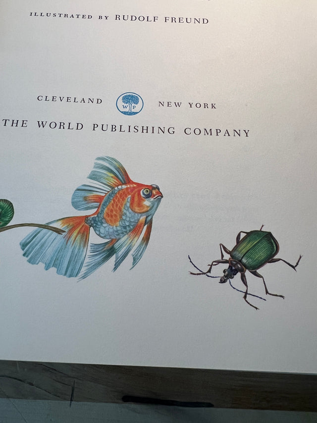 The Rainbow Book of Nature - D.C. Peattie, Rudolf Freund Illustrations