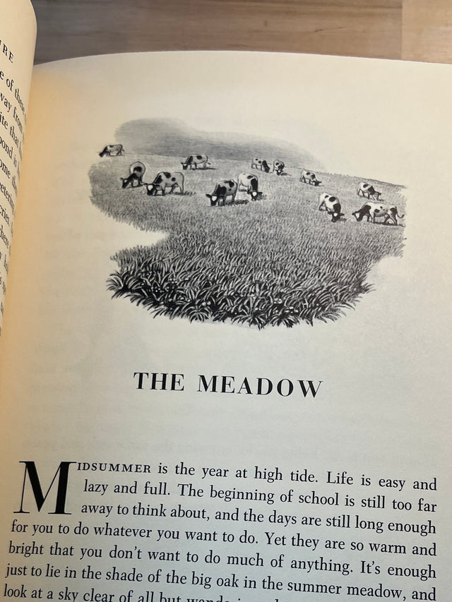 The Rainbow Book of Nature - D.C. Peattie, Rudolf Freund Illustrations