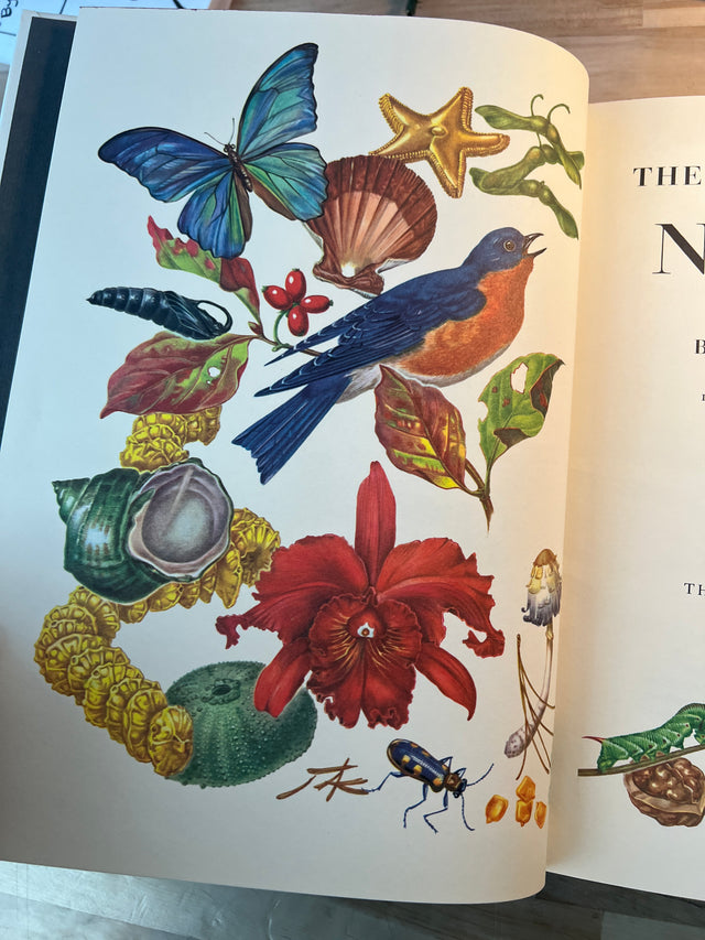 The Rainbow Book of Nature - D.C. Peattie, Rudolf Freund Illustrations