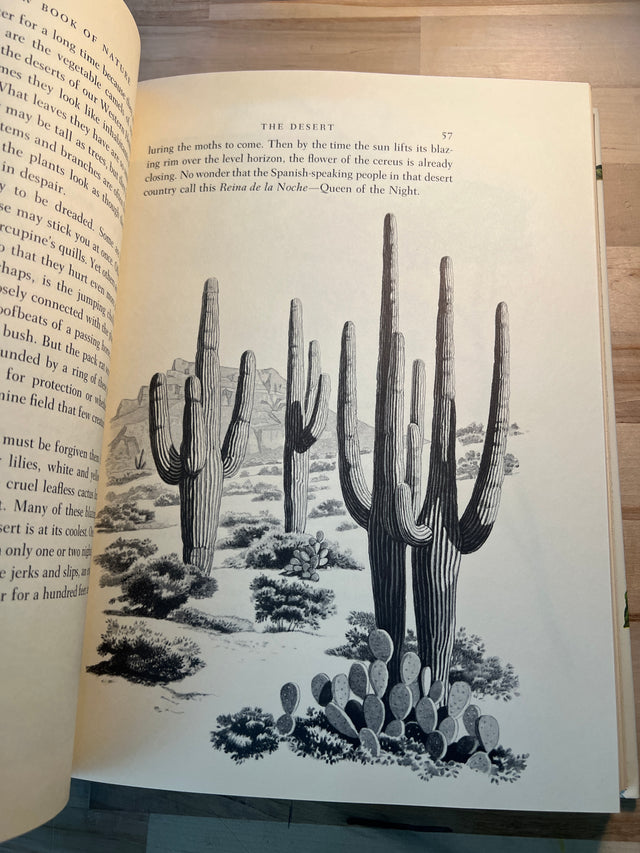 The Rainbow Book of Nature - D.C. Peattie, Rudolf Freund Illustrations