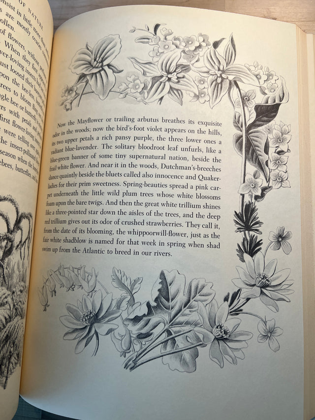 The Rainbow Book of Nature - D.C. Peattie, Rudolf Freund Illustrations