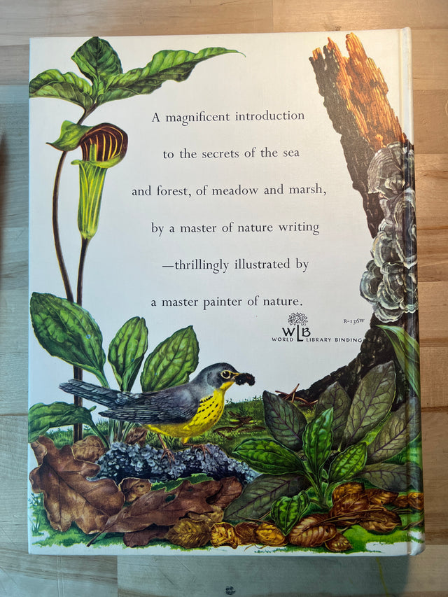 The Rainbow Book of Nature - D.C. Peattie, Rudolf Freund Illustrations